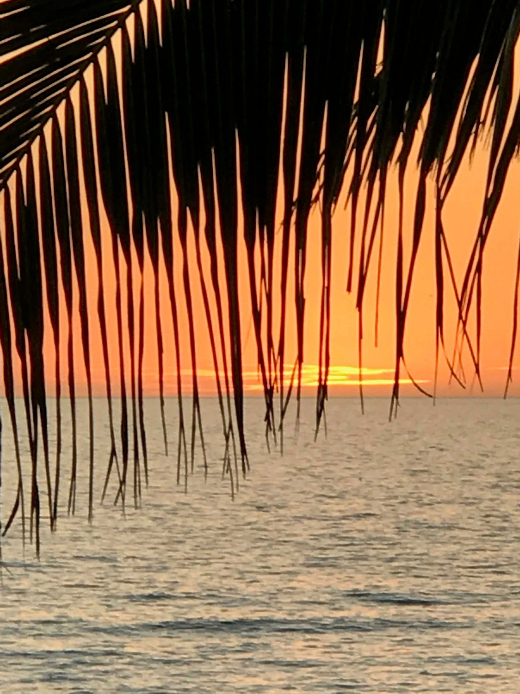 Break out the&nbsp;bubbly